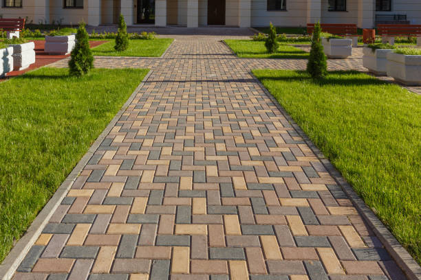 Best Driveway Paving Contractor  in Theodore, AL